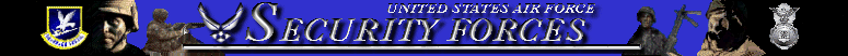 U.S. Air Force Security Forces